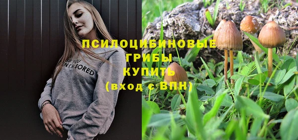 jwh Алзамай